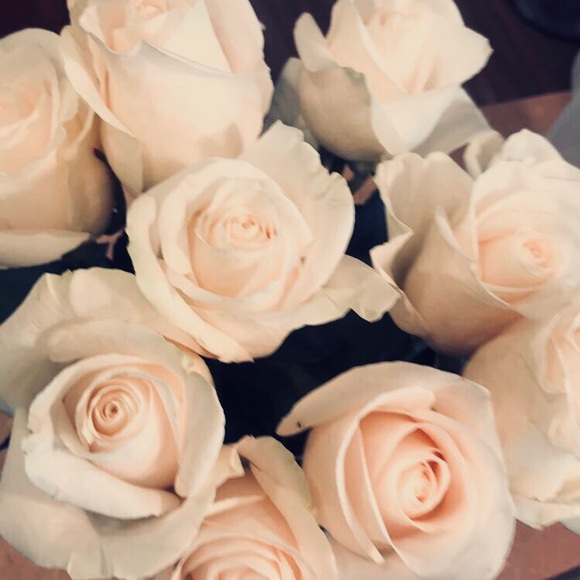 Meet your Posher, Karly - Picture 2 of 3